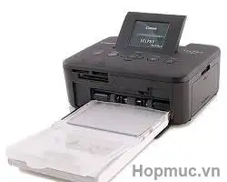 M Y In Canon Selphy Cp800 C Likenew 